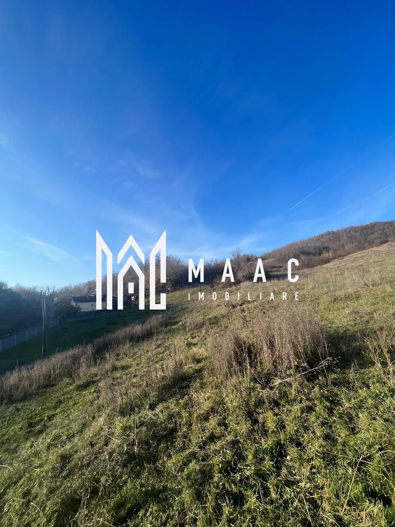 Teren | Copacelu | 5000 mp | Pretabil cartier rezidential - Poză 3