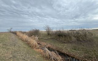 Teren 5.000 mp centura Calea Sagului- Freidorf. - Poză 4