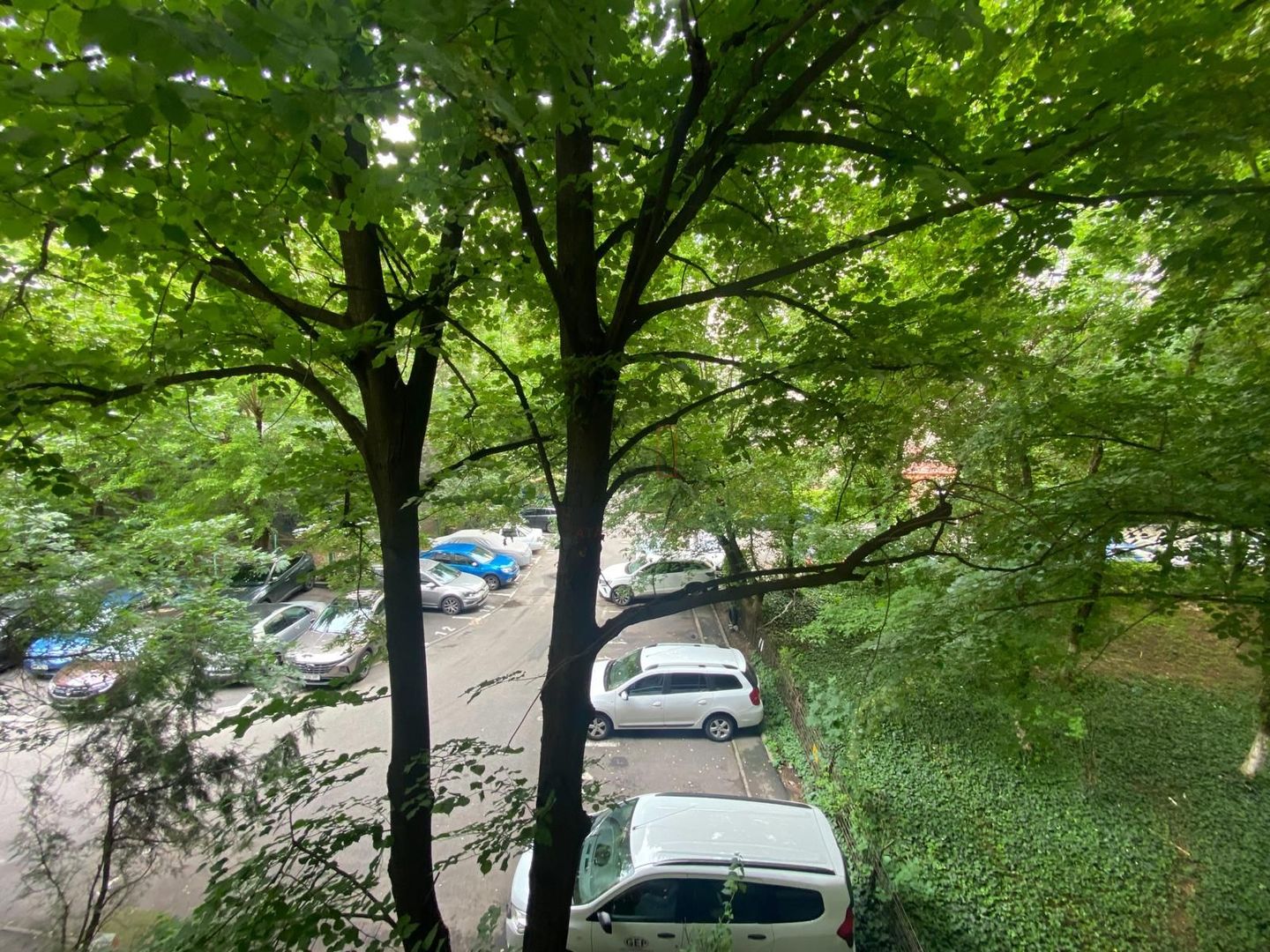 3 camere Lacul Tei - Poză 12