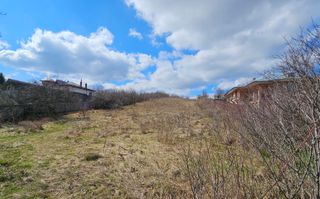 INVESTIȚIE - Teren 7.500 mp, intravilan + extravilan, str. CASTANILOR; - Poză 1