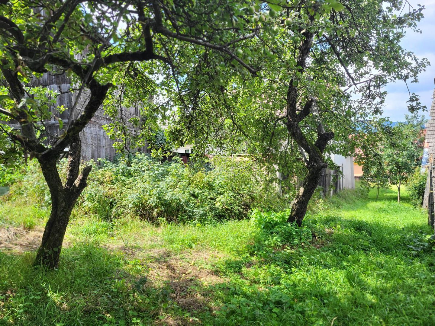 Sacele -Turches, gradina intre case, comision 0% - Poză 11