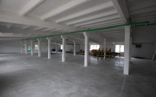 Hala industriala de 2.200 mp- zona Giarmata - Poză 5