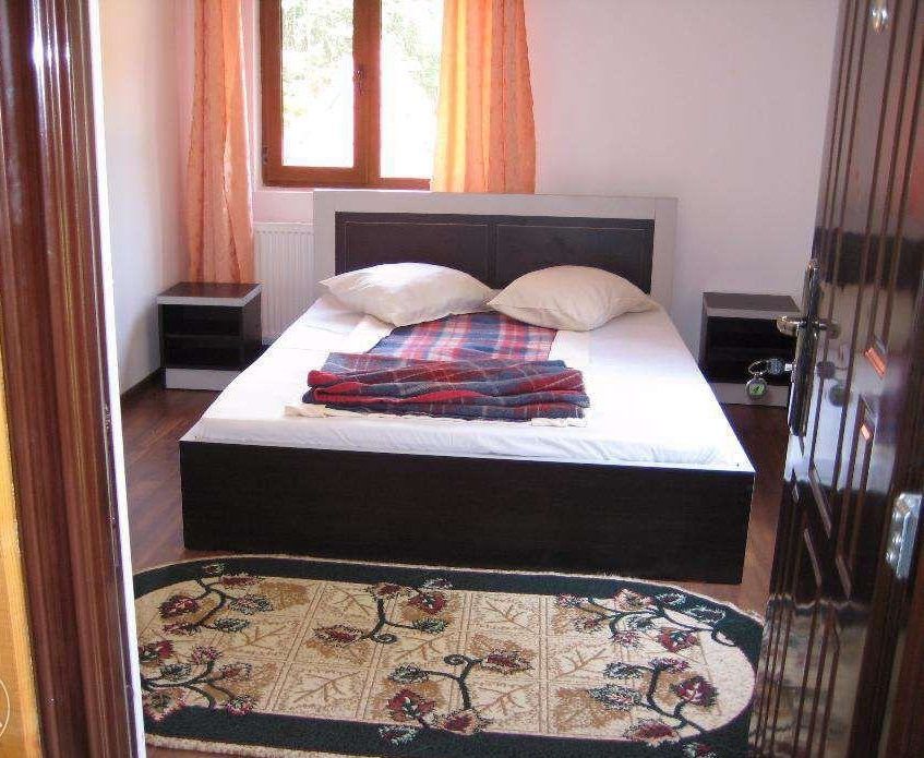 View Lac Vidraru, pretabil pensiune, 30 camere, vad turistic permanent - Poză 5