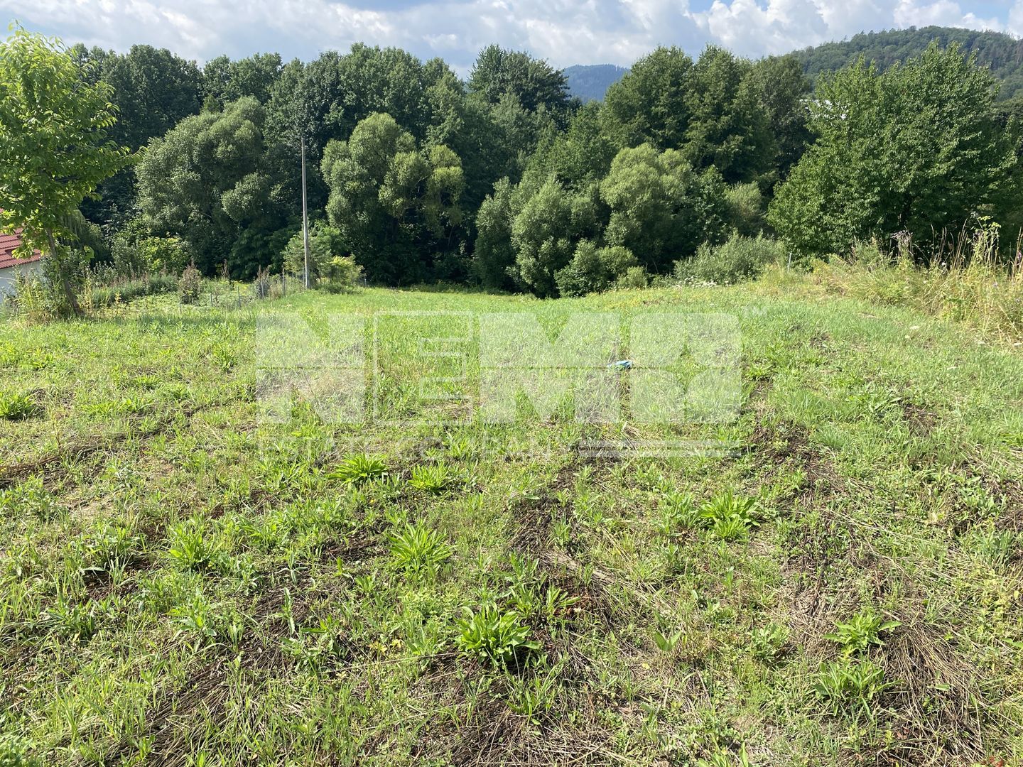 Teren Intravilan | 25 Ari | Voievodeasa - Poză 5