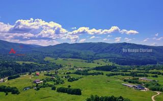 AZURA Imobiliare Pitesti - Casă de vacanță, Nucșoara! - Poză 20