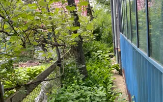 Casa in Comuna Geaca - Poză 18