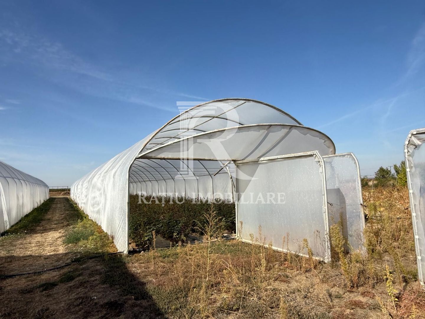 Teren intravilan agricol | 7029 mp | Satu Nou | Bihor - Poză 9