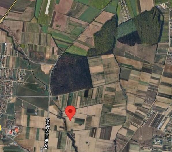 Teren extravilan Nojorid 11000mp - Poză 2