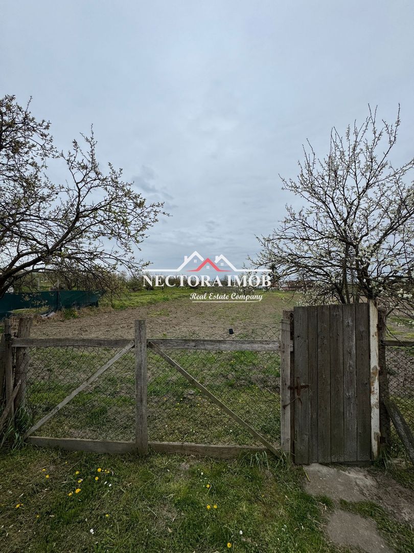 Casa 2 camere 70 mp, in CETARIU cu 2117 mp teren, la 15 km de Oradea - Poză 3