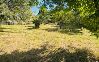 TEREN INTRAVILAN 3234 MP LEREȘTI VOINEȘTI ARGEȘ - Poză 3