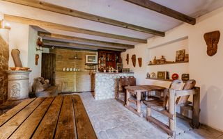 Domeniu în satul Căprioara - Poză 75