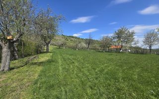 Teren 5400 mp superb cu livada si vedere spre munti Orlat - Poză 9