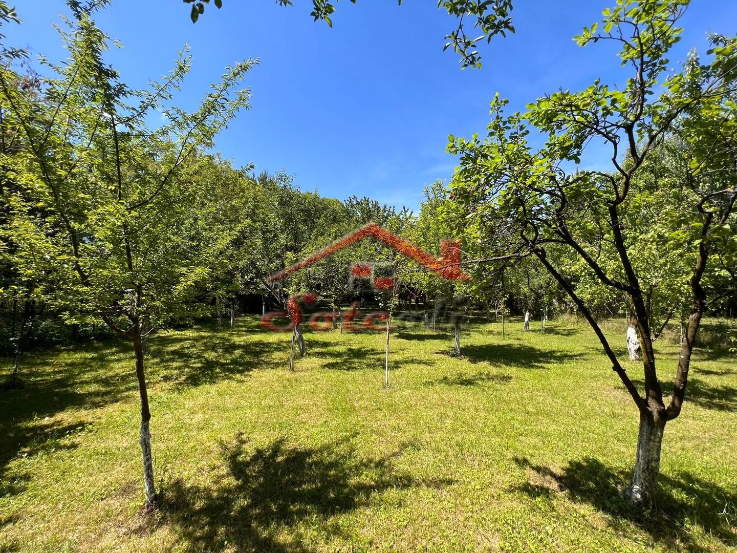 Vila de vanzare Cornu de Jos - Poză 40