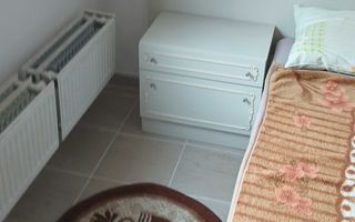 Garsoniera de 21 mp | Centrala Proprie | Etaj Intermediar | Dambul Rotund - Poză 2