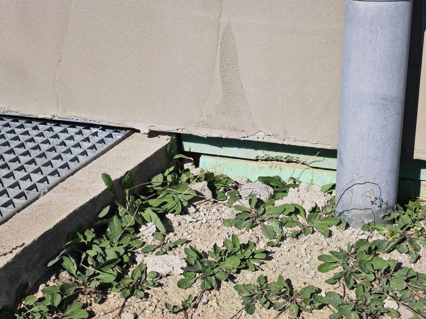 Casa individuala S+P-Mosnita Noua-teren 800 mp. - Poză 36