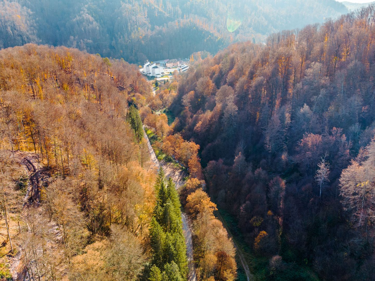 Teren central în Moneasa - Poză 2
