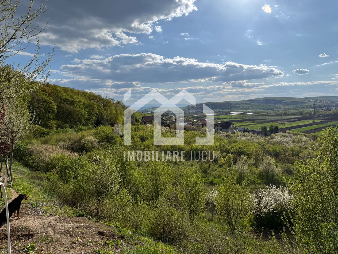 Teren intravilan – 1.450 mp | Jucu de Sus, marginea pădurii - Poză 5