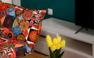 Apartament 2 camere I Parter I Constructie Noua I Turnisor - Poză 5