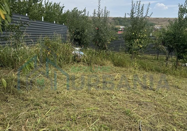 Teren pentru construcție casă în Dancu, zona Valea Lungă - Poză 5