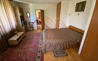 Vila de vanzare, teren 3100 mp, 7 camere, 6 grupuri sanitare, 3 CT, an 1997 - Poză 23