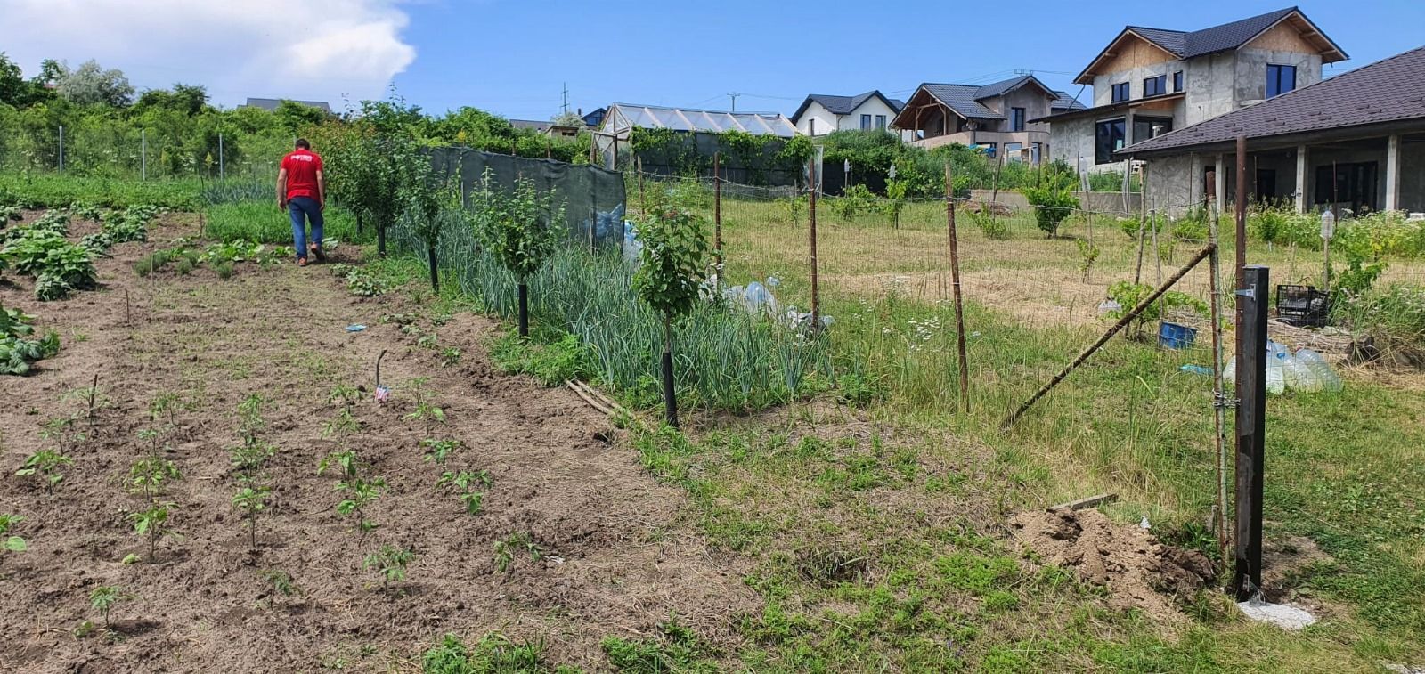 Teren INTRAVILAN 730 mp, zona FILATURII - Silver Mall; - Poză 3