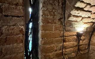 SAD - Spatiu comercial central de 160mp in Arad - ideal: crama, cafenea, magazin - Poză 16