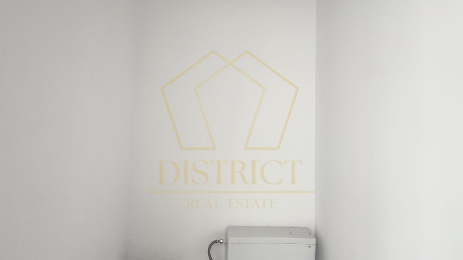 Spatiu comercial | Blascovici - Poză 3