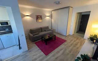 Garsoniera, 1 min Metrou Favorit, PET FRIENDLY, Renovata - Poză 2