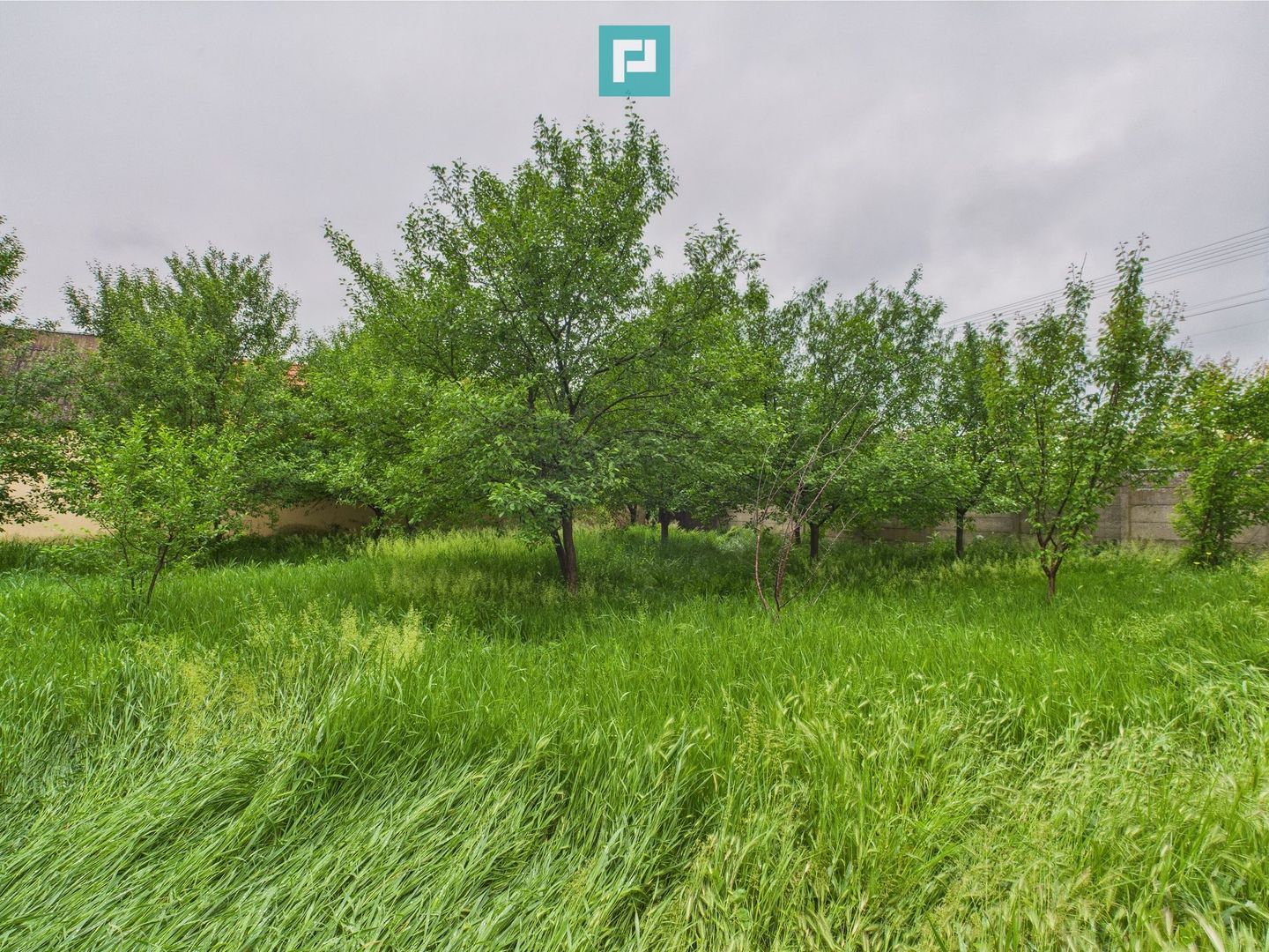 Casă de reabilitat pe teren generos- Comuna Variaș - Poză 11