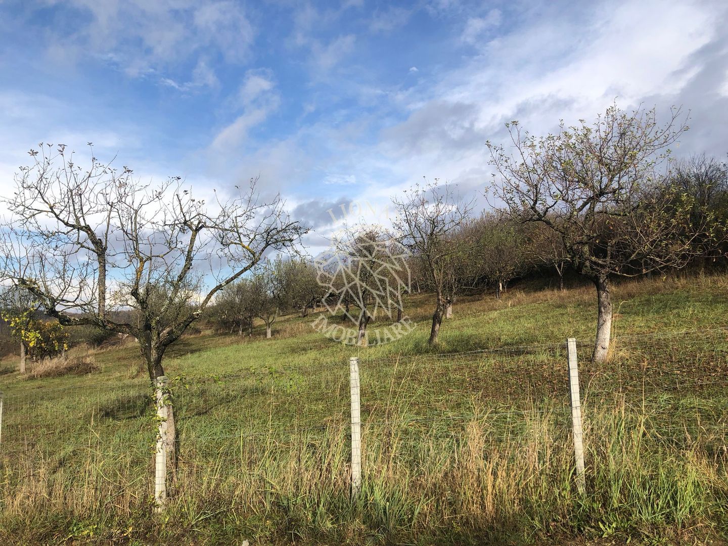 Teren intravilan 3800 mp-pretabil case-parcelabil-Zona Cartier Raal - Poză 3