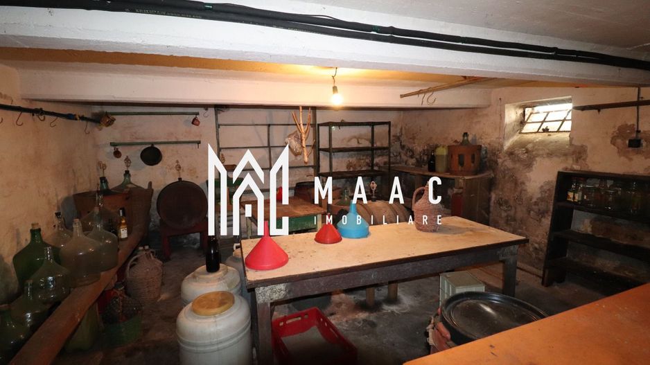 Apartament la casa | Pivnita mare | Curte | Cisnadie - Poză 11