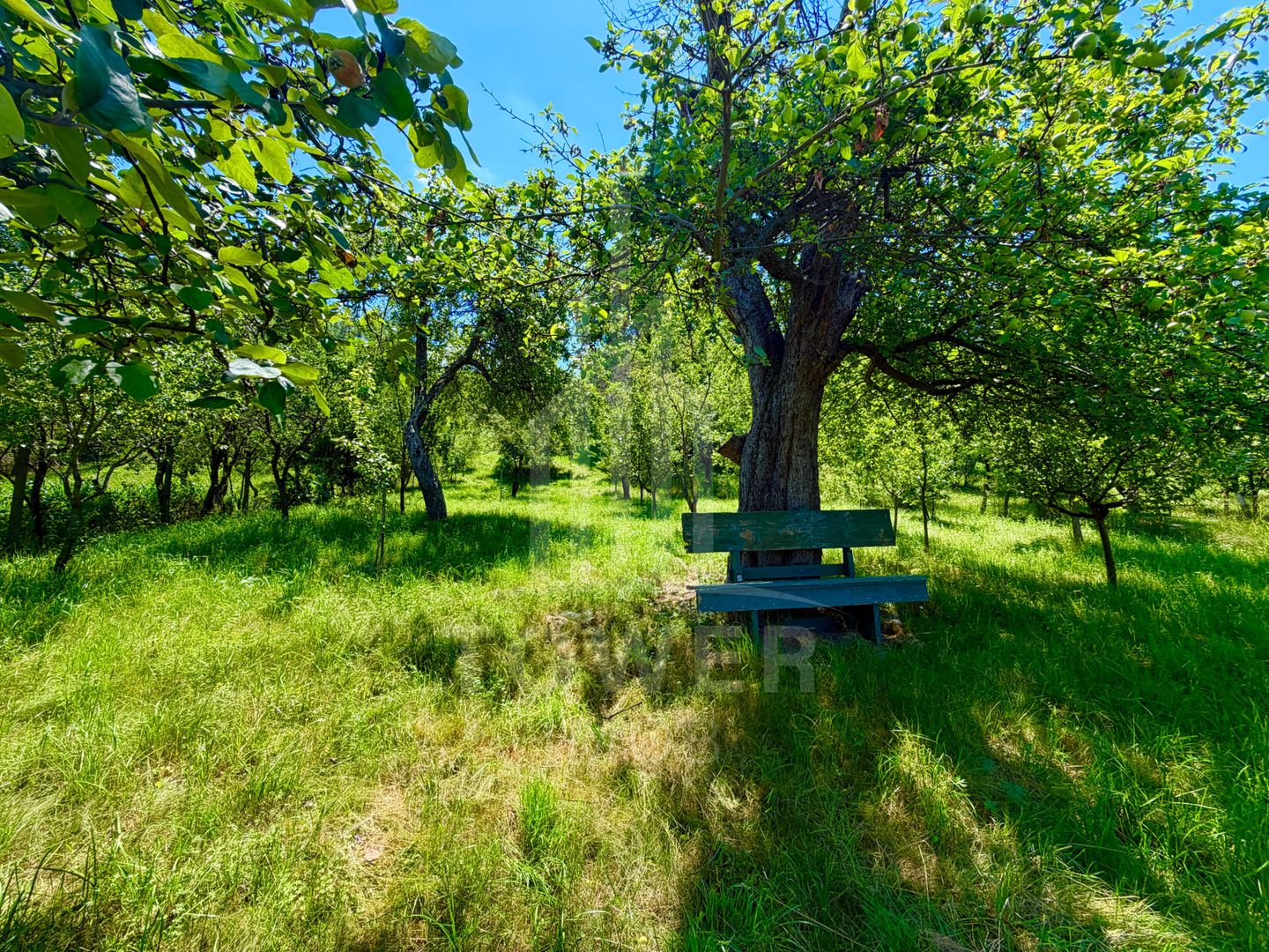 Casă de vânzare-teren 2.300 mp| Ocna Sibiului - Poză 25