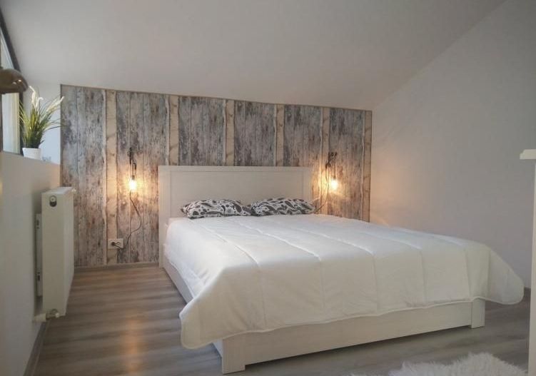 Închiriere 2 Camere Unirii, Centrală, Terasă, Petfriendly - Poză 13