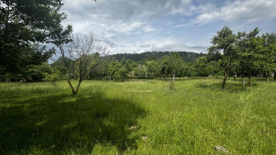 TEREN INTRAVILAN 4600 MP, VOINESTI, LERESTI, ARGEȘ - Poză 14