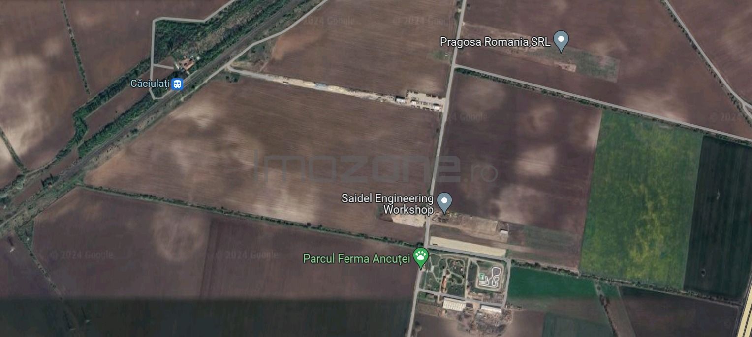 Teren | 21.000 mp | Moara Vlasiei | Caciulati | la cateva minute de A3 - Poză 1