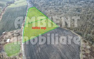 Teren intravilan 5.000 mp, VASLUI zona GURA BUSTEI; - Poză 2