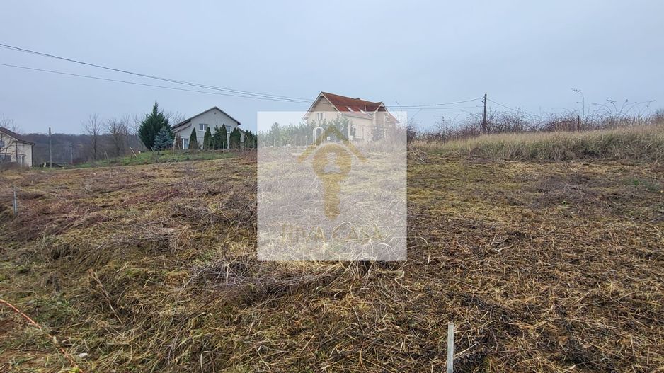 Teren extravilan Paleu - Poză 1