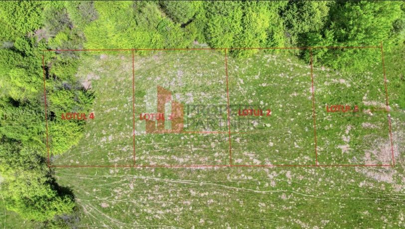 Teren intravilan 500 mp sau 1000 mp în Zarnesti –Tohanita incepand cu 17500 euro - Poză 5