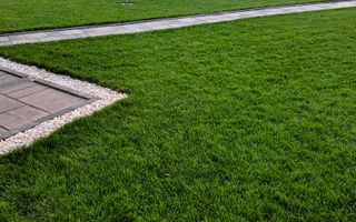 Comisiom 0% Vila 2022  teren 1000 mp Ciorogarla - Poză 43