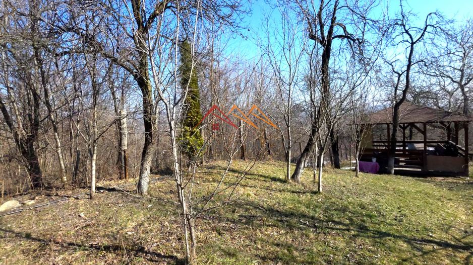 CASĂ INDIVIDUALĂ CU LIVADĂ | 2.195 MP TEREN | POIANA CÂMPINA - Poză 18
