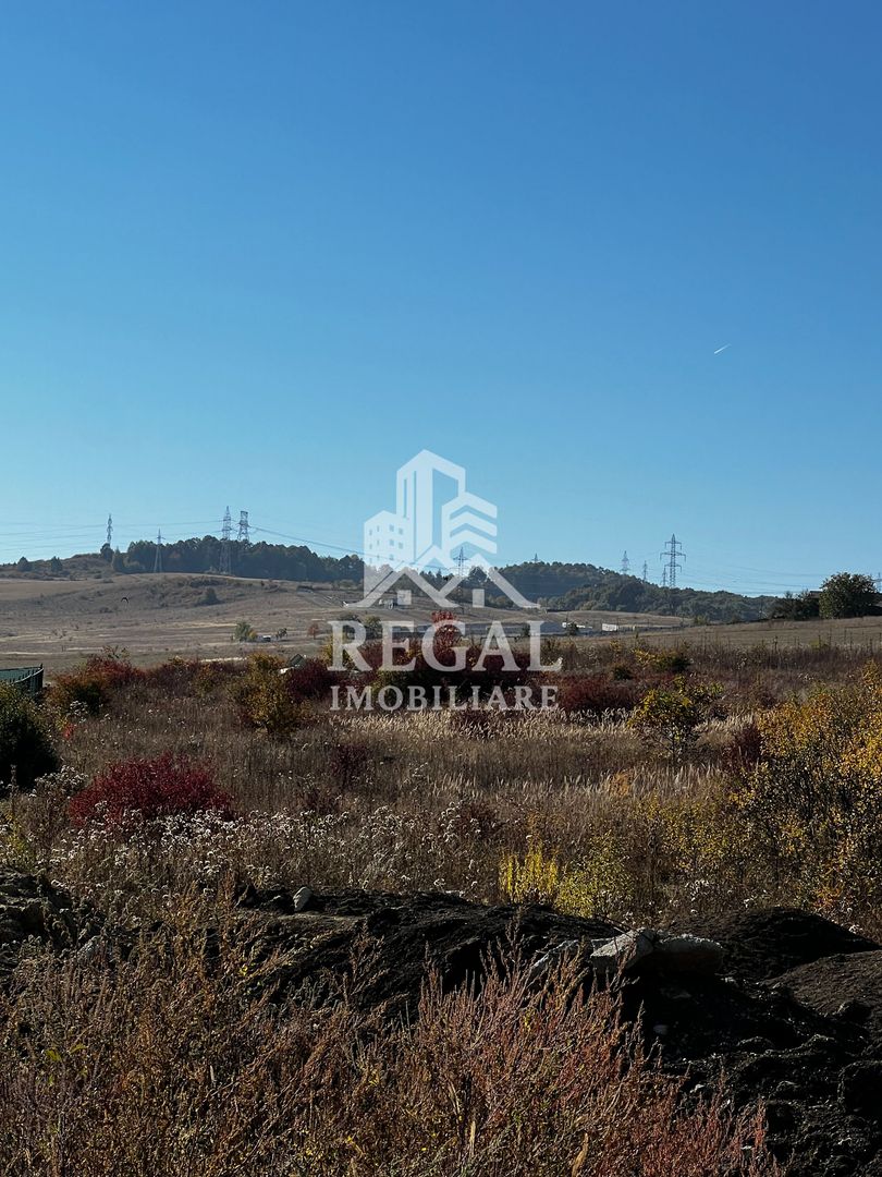 TEREN DE VÂNZARE – ZONA VALEA SEACĂ | 5.600 MP | PARCELABIL - Poză 4