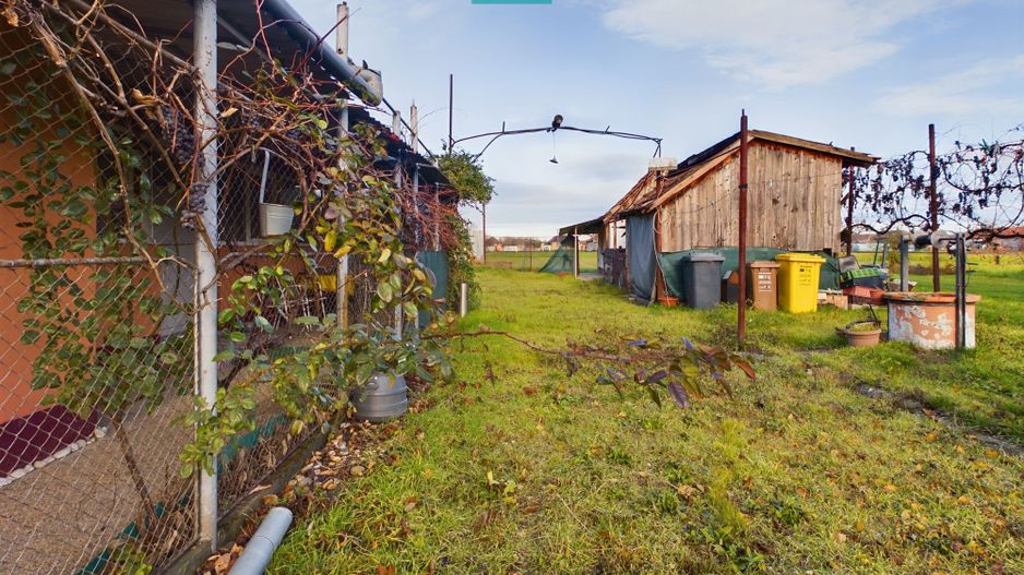 Casă cu teren generos, Turnu - Poză 24