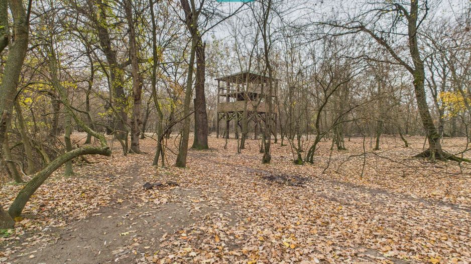 Teren pe malul Muresului- oportunitati multiple - Poză 6