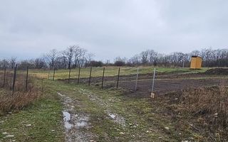 Teren intravilan 656 mp + acces, lângă pădure – Chicerea - Tomești - Poză 3