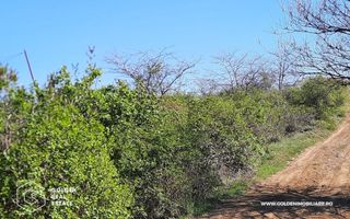 Teren intravilan Valea Domneasca,  localitatea Ghioroc - Poză 2