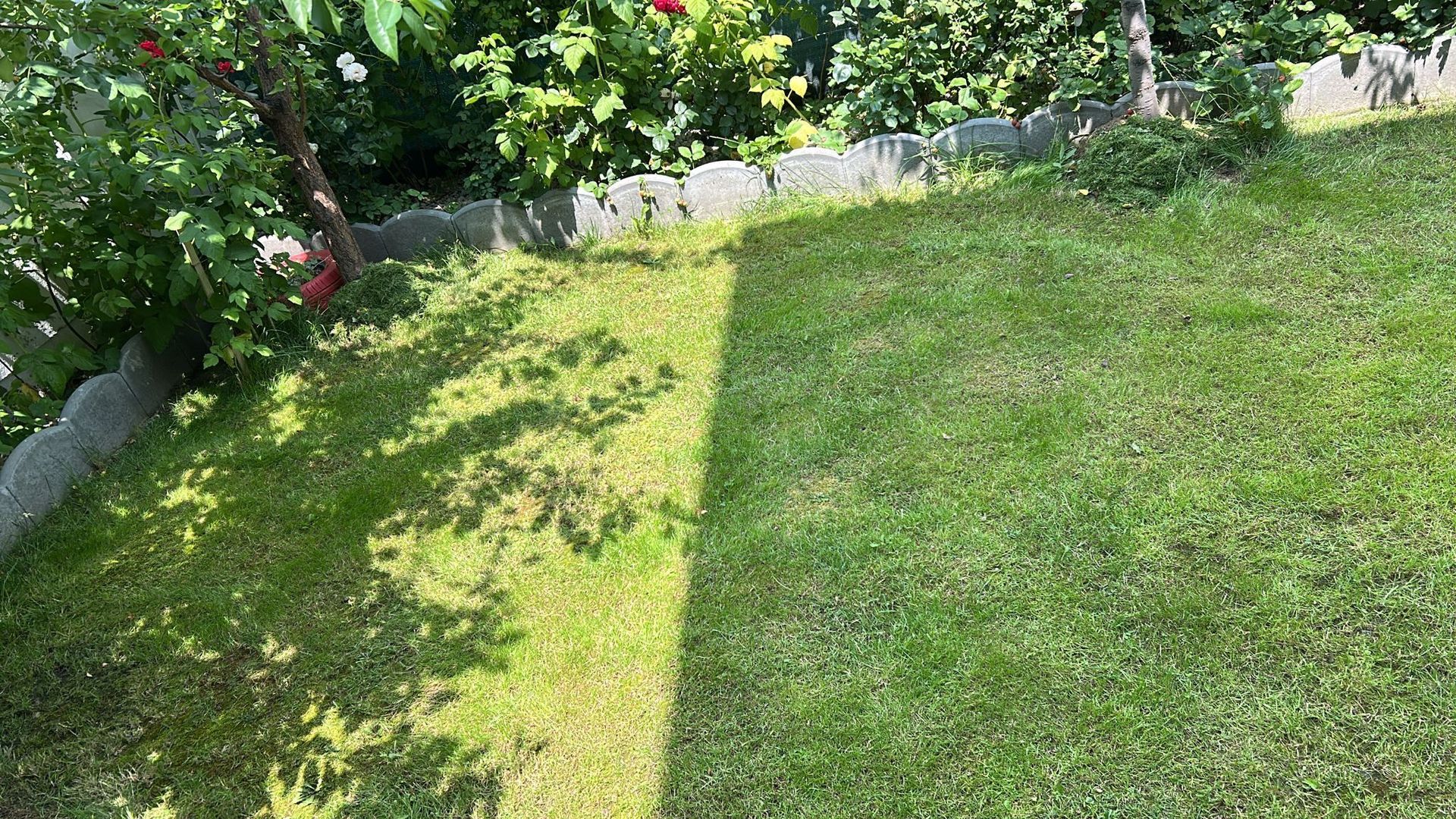 Vilă 4 camere | Tunari | De Vânzare - Poză 11