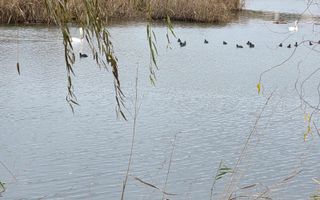 Parcelă Intravilană cu Vedere Superbă la Lac, Investiție de Top în Corbeanca - Poză 1