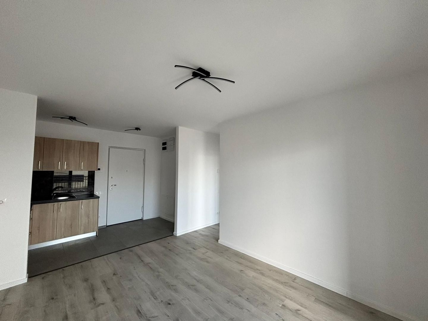 Studio modern in complexul rezidential H Pipera Lake - Poză 2
