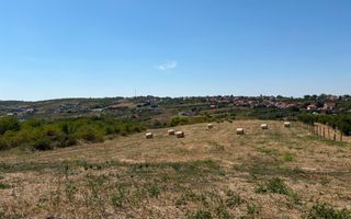 Teren intravilant | 6,355 mp | Săldăbagiu de Munte - Poză 3