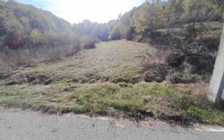 TEREN DE VANZARE IN BABANA, ARGES,  LANGA PADURE - Poză 4